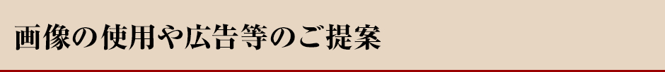 画像の使用や広告等のご提案